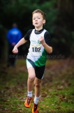 26-12-2014 Kerstcross Sprundel Nederlands Atletiek foto: Kees Nouws / 26-12-2014 Kerstcross Sprundel Nederlands Atletiek foto: Kees Nouws /