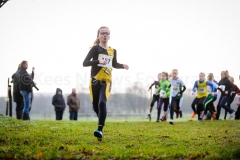 26-12-2014 Kerstcross Sprundel Nederlands Atletiek foto: Kees Nouws / 26-12-2014 Kerstcross Sprundel Nederlands Atletiek foto: Kees Nouws /