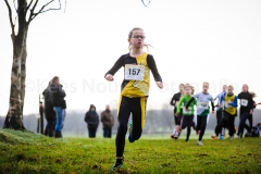 26-12-2014 Kerstcross Sprundel Nederlands Atletiek foto: Kees Nouws / 26-12-2014 Kerstcross Sprundel Nederlands Atletiek foto: Kees Nouws /