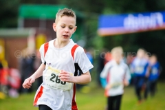 26-12-2014 Kerstcross Sprundel Nederlands Atletiek foto: Kees Nouws / 26-12-2014 Kerstcross Sprundel Nederlands Atletiek foto: Kees Nouws /