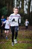 26-12-2014 Kerstcross Sprundel Nederlands Atletiek foto: Kees Nouws / 26-12-2014 Kerstcross Sprundel Nederlands Atletiek foto: Kees Nouws /