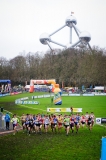 21-12-2014 LottoCrossCup Brussel Belgie Atletiek foto: Kees Nouws / 21-12-2014 LottoCrossCup Brussel Belgie Atletiek foto: Kees Nouws /