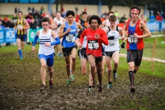21-12-2014 LottoCrossCup Brussel Belgie Atletiek foto: Kees Nouws / 21-12-2014 LottoCrossCup Brussel Belgie Atletiek foto: Kees Nouws /