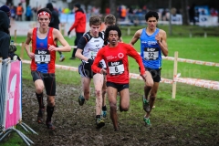 21-12-2014 LottoCrossCup Brussel Belgie Atletiek foto: Kees Nouws / 21-12-2014 LottoCrossCup Brussel Belgie Atletiek foto: Kees Nouws /