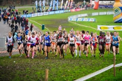 21-12-2014 LottoCrossCup Brussel Belgie Atletiek foto: Kees Nouws / 21-12-2014 LottoCrossCup Brussel Belgie Atletiek foto: Kees Nouws /