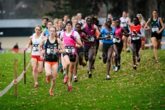21-12-2014 LottoCrossCup Brussel Belgie Atletiek foto: Kees Nouws / 21-12-2014 LottoCrossCup Brussel Belgie Atletiek foto: Kees Nouws /