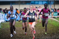 21-12-2014 LottoCrossCup Brussel Belgie Atletiek foto: Kees Nouws / 21-12-2014 LottoCrossCup Brussel Belgie Atletiek foto: Kees Nouws /