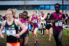 21-12-2014 LottoCrossCup Brussel Belgie Atletiek foto: Kees Nouws / 21-12-2014 LottoCrossCup Brussel Belgie Atletiek foto: Kees Nouws /