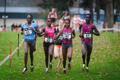 21-12-2014 LottoCrossCup Brussel Belgie Atletiek foto: Kees Nouws / 21-12-2014 LottoCrossCup Brussel Belgie Atletiek foto: Kees Nouws /