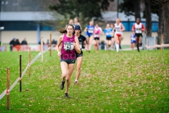 21-12-2014 LottoCrossCup Brussel Belgie Atletiek foto: Kees Nouws / 21-12-2014 LottoCrossCup Brussel Belgie Atletiek foto: Kees Nouws /