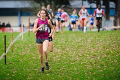 21-12-2014 LottoCrossCup Brussel Belgie Atletiek foto: Kees Nouws / 21-12-2014 LottoCrossCup Brussel Belgie Atletiek foto: Kees Nouws /