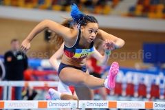 kN_20140216_37923.jpg