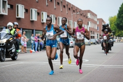 07-09-2014 Tilburg Ten Miles 10 kilometer Ladies Run Tilburg Nederland Atletiek foto: Kees Nouws / 07-09-2014 Tilburg Ten Miles 10 kilometer Ladies Run Tilburg Nederland Atletiek foto: Kees Nouws /
