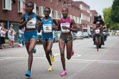 07-09-2014 Tilburg Ten Miles 10 kilometer Ladies Run Tilburg Nederland Atletiek foto: Kees Nouws / 07-09-2014 Tilburg Ten Miles 10 kilometer Ladies Run Tilburg Nederland Atletiek foto: Kees Nouws /