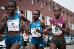 07-09-2014 Tilburg Ten Miles 10 kilometer Ladies Run Tilburg Nederland Atletiek foto: Kees Nouws / 07-09-2014 Tilburg Ten Miles 10 kilometer Ladies Run Tilburg Nederland Atletiek foto: Kees Nouws /