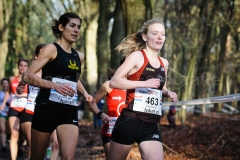 23-11-2014 Warandeloop Tilburg Nederland Atletiek foto: Kees Nouws /