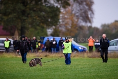 15-11-2015 25 jaar Nederland Belgë VDH Nederland-VVDH België Wouwse Plantage Nederland foto: kees Nouws :