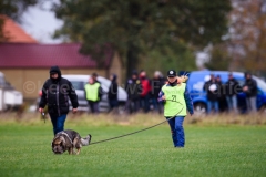 15-11-2015 25 jaar Nederland Belgë VDH Nederland-VVDH België Wouwse Plantage Nederland foto: kees Nouws :