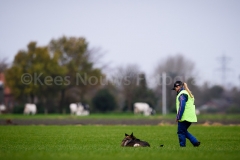 15-11-2015 25 jaar Nederland Belgë VDH Nederland-VVDH België Wouwse Plantage Nederland foto: kees Nouws :