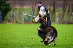 15-11-2015 25 jaar Nederland Belgë VDH Nederland-VVDH België Wouwse Plantage Nederland foto: kees Nouws :