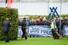 15-11-2015 25 jaar Nederland Belgë VDH Nederland-VVDH België Wouwse Plantage Nederland foto: kees Nouws :