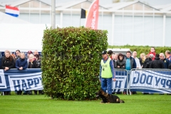 15-11-2015 25 jaar Nederland Belgë VDH Nederland-VVDH België Wouwse Plantage Nederland foto: kees Nouws :