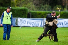 15-11-2015 25 jaar Nederland Belgë VDH Nederland-VVDH België Wouwse Plantage Nederland foto: kees Nouws :