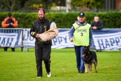 15-11-2015 25 jaar Nederland Belgë VDH Nederland-VVDH België Wouwse Plantage Nederland foto: kees Nouws :