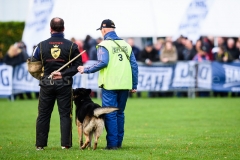 15-11-2015 25 jaar Nederland Belgë VDH Nederland-VVDH België Wouwse Plantage Nederland foto: kees Nouws :