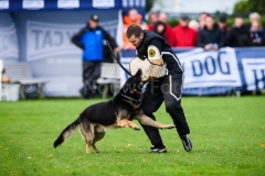 15-11-2015 25 jaar Nederland Belgë VDH Nederland-VVDH België Wouwse Plantage Nederland foto: kees Nouws :