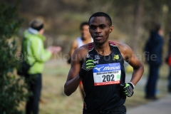 08-02-2015 Groet uit Schoorl Run NK10KM Schoorl Plaats Nederland Atletiek foto: Kees Nouws / 08-02-2015 Groet uit Schoorl Run NK10KM Schoorl Plaats Nederland Atletiek foto: Kees Nouws /