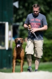 23-08-2015 Rhodesian Ridgeback Club Nederland Coursing Venlo Nederland foto: kees Nouws : 23-08-2015 Rhodesian Ridgeback Club Nederland Coursing Venlo Nederland foto: kees Nouws :