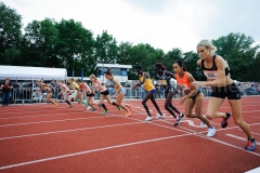 Gouden Spike