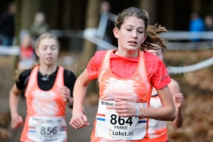 TILBURG, BREDA, 27-11-2016, Warandeloop, De Warande, Cross Country, Atletiek TILBURG, BREDA, 27-11-2016, Warandeloop, De Warande, Cross Country, Atletiek