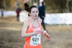 TILBURG, BREDA, 27-11-2016, Warandeloop, De Warande, Cross Country, Atletiek TILBURG, BREDA, 27-11-2016, Warandeloop, De Warande, Cross Country, Atletiek