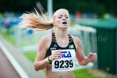 02-08-2014 Memorial Rasschaert Ninove België Atletiek foto: Kees Nouws :