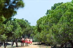 02-05-2015 Trainingskamp Team Distance Runners Monte Gordo Portugal foto: kees Nouws :